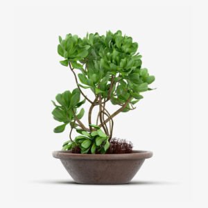 Nilson Basics Artificial Fake Tree